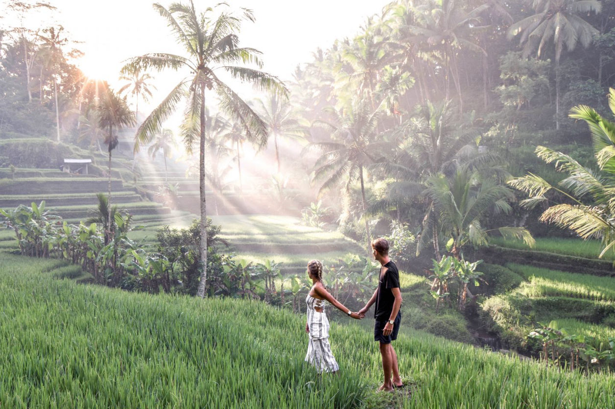 Diedi Bali Driver - Tegallalang Rice Terrace