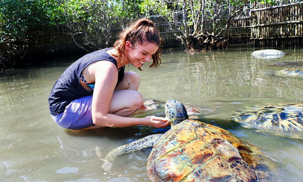 Diedi Bali Driver - Turtle Island